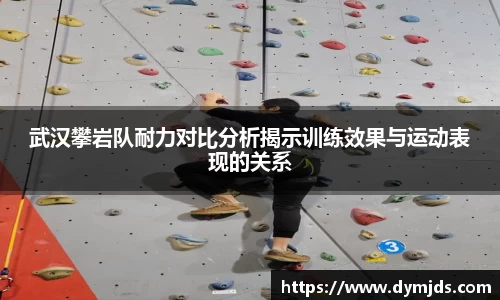 武汉攀岩队耐力对比分析揭示训练效果与运动表现的关系